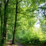 NOTRE NATURE AVEC UN REGARD NOUVEAU