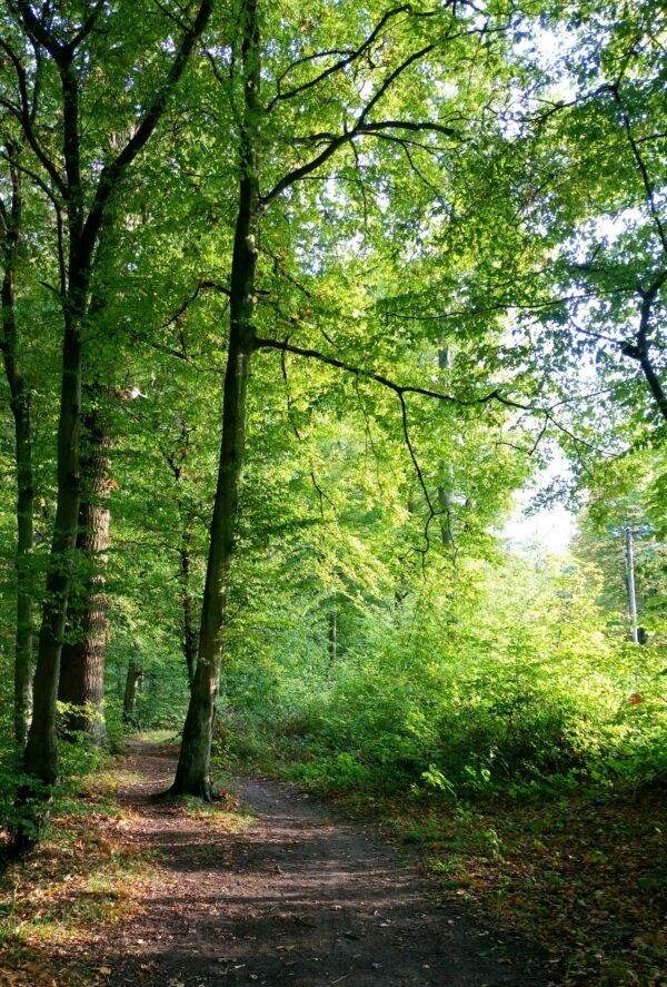 NOTRE NATURE AVEC UN REGARD NOUVEAU