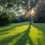 UNE PAUSE RESSOURCANTE